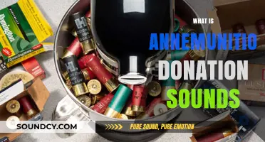 Understanding Annemunition Donation Sounds: A Comprehensive Guide to Their Meaning