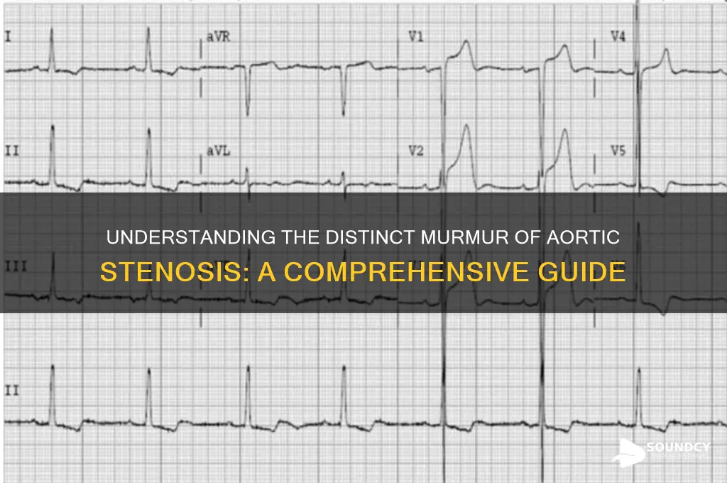 what is aortic stenosis sound