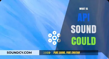 Understanding API Sound Could: A Comprehensive Guide to Its Functionality