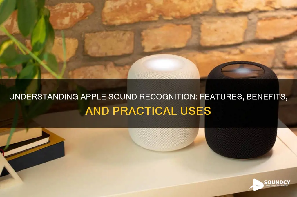 what is apple sound recognition