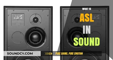 Understanding ASL: Decoding Its Role and Impact in Sound Engineering