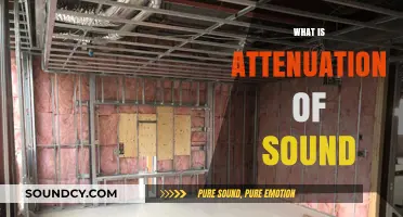 Understanding Sound Attenuation: Causes, Effects, and Reduction Techniques
