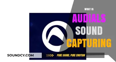 Audials Sound Capturing: How to Record and Save Audio Streams