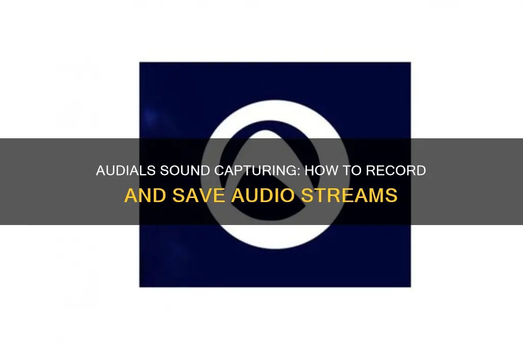what is audials sound capturing