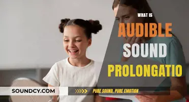 Understanding Audible Sound Prolongations: Causes, Effects, and Practical Applications