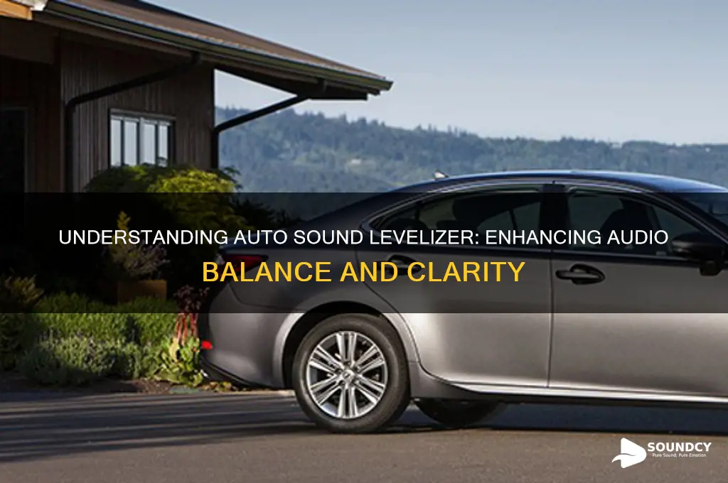 what is auto sound levelizer