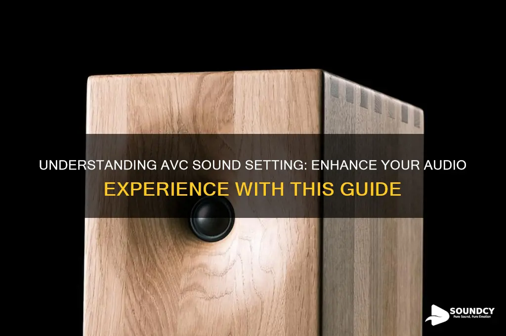 what is avc sound setting