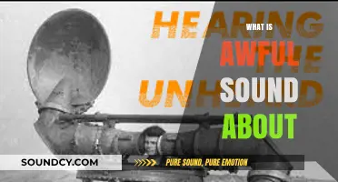 Unraveling the Unpleasant: Understanding the Science Behind Awful Sounds