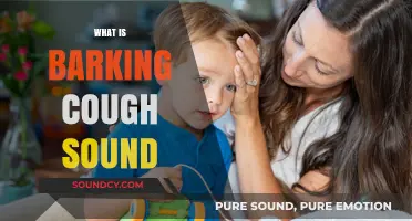 Understanding the Barking Cough: Causes, Symptoms, and Treatment Options