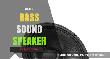 Understanding Bass Sound Speakers: Definition, Function, and Importance in Audio