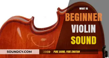 Exploring the Unique Tone and Qualities of Beginner Violin Sound