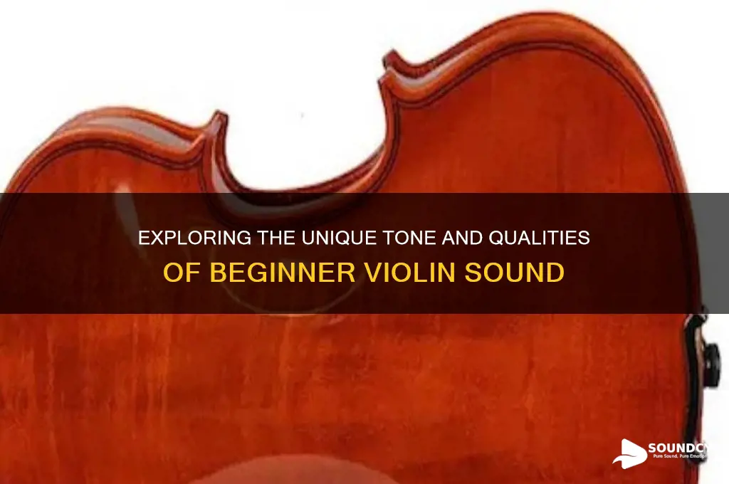 what is beginner violin sound