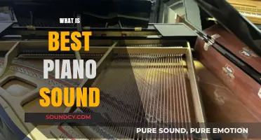 Exploring the Perfect Piano Sound: Quality, Tone, and Expression