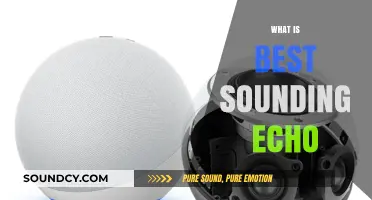 Discovering the Ultimate Echo: Best Sounding Models Compared