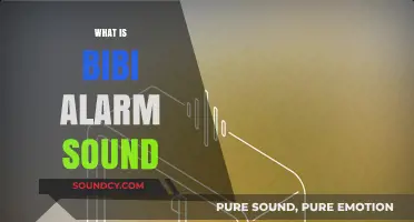 Understanding the Bibi Alarm Sound: Purpose, Origin, and Usage Explained