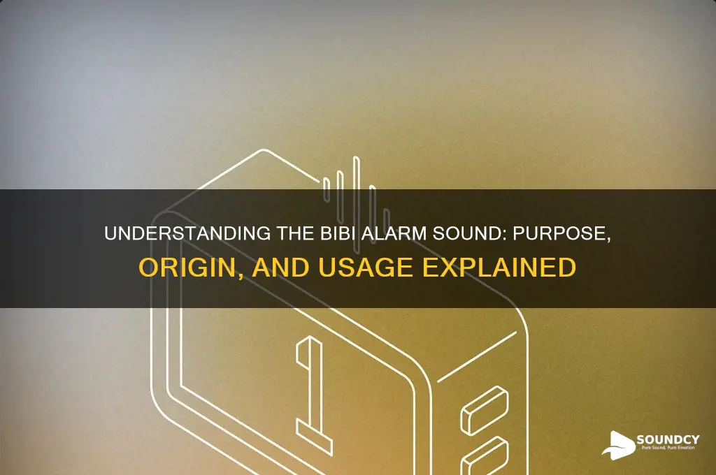 what is bibi alarm sound