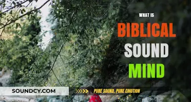 Understanding Biblical Sound Mind: Principles for Spiritual and Mental Clarity