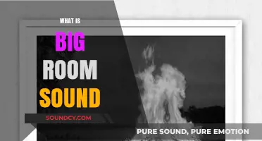Exploring Big Room Sound: Origins, Characteristics, and Modern Impact