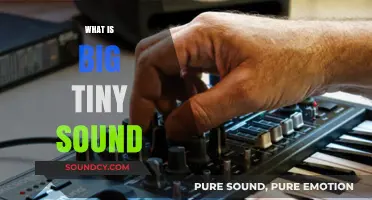 Unveiling the Mystery: Understanding Big Tiny Sound's Unique Phenomenon