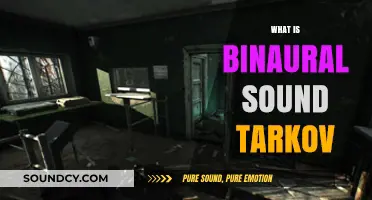 Understanding Binaural Sound in Escape from Tarkov: A Comprehensive Guide