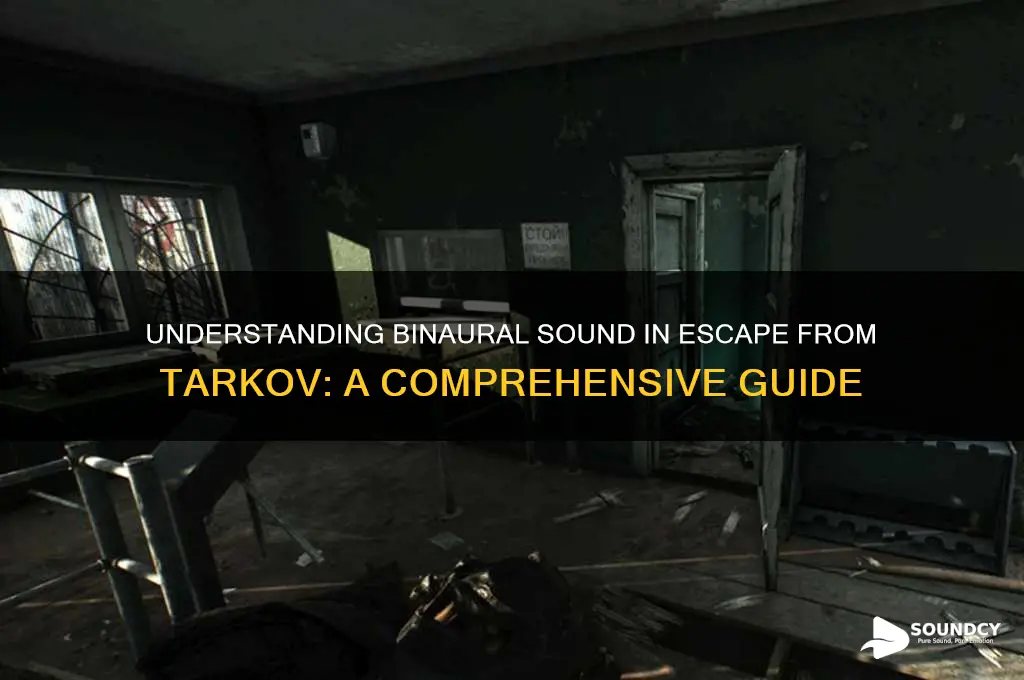what is binaural sound tarkov