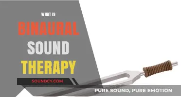 Exploring Binaural Sound Therapy: Benefits, Techniques, and Healing Effects