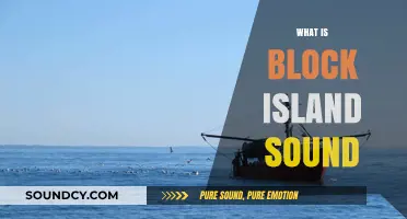Exploring Block Island Sound: A Guide to Its Beauty and Ecology
