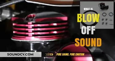 Understanding the Blow Off Sound: Causes, Effects, and Practical Solutions