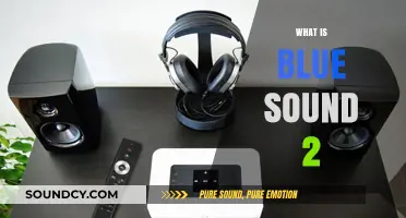 Exploring Blue Sound 2: Features, Benefits, and User Experience