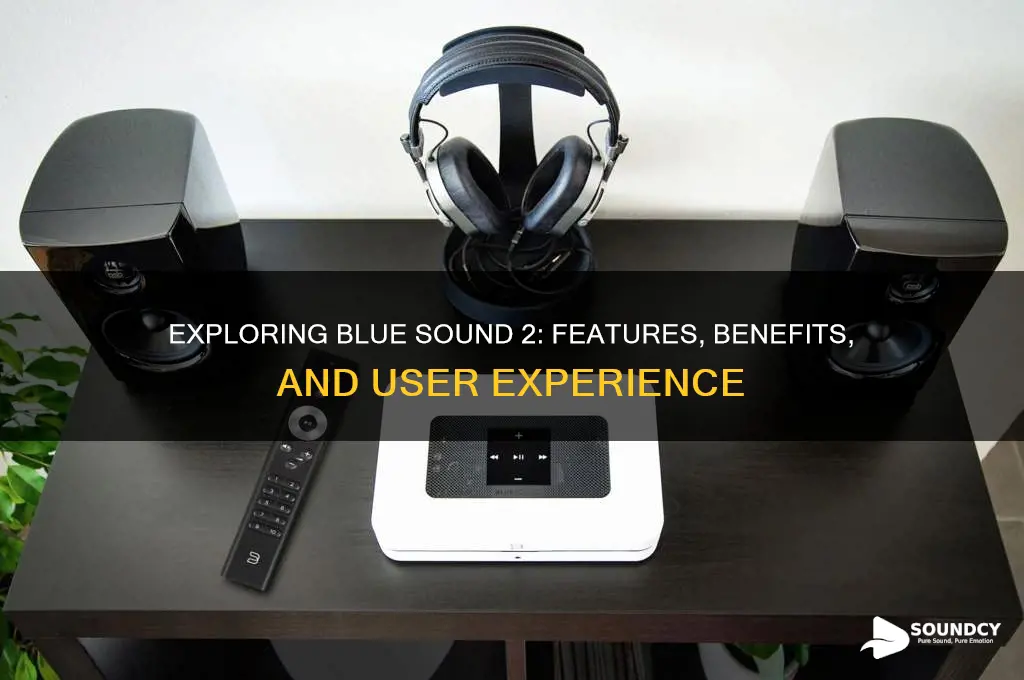 what is blue sound 2