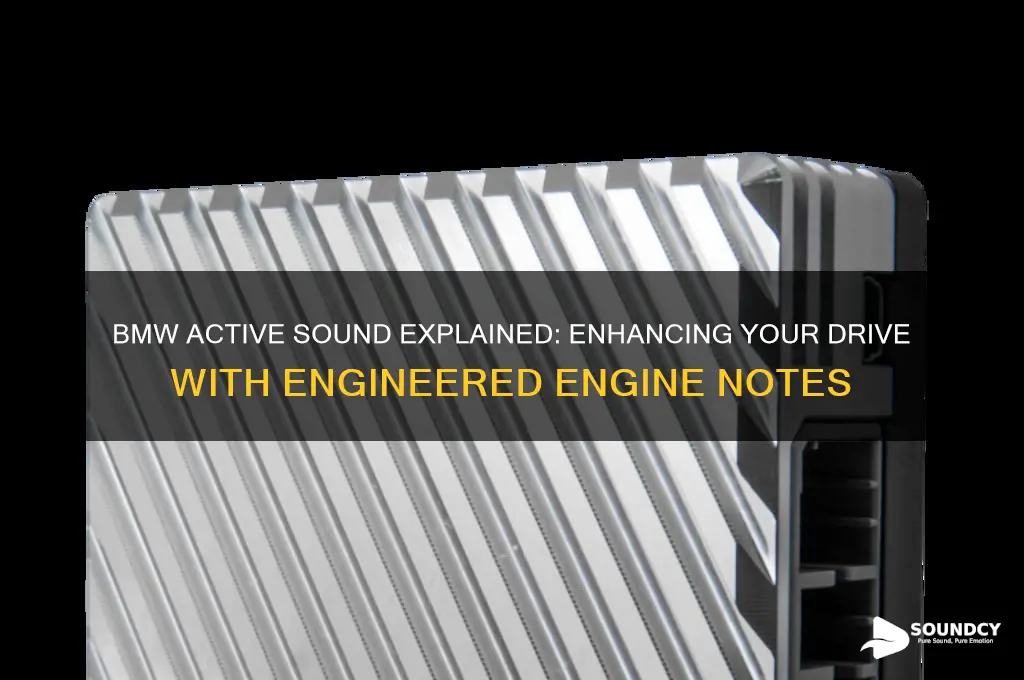 what is bmw active sound