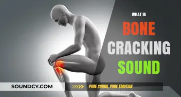 Understanding the Science Behind Bone Cracking Sounds and Joint Health