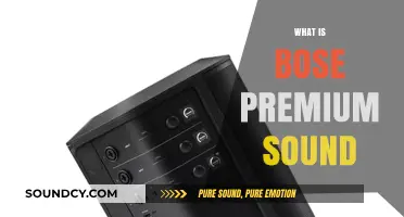 Bose Premium Sound: Elevating Audio Experience with Cutting-Edge Technology