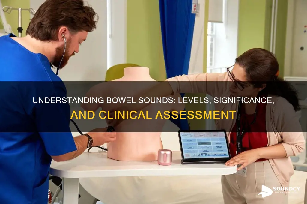 what is bowel sounds level