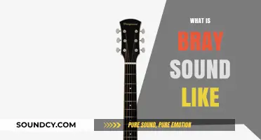 Unveiling the Unique Acoustic Qualities of Bray: What Does It Sound Like?