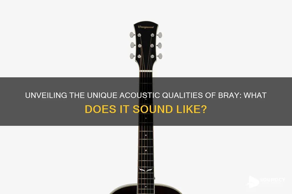what is bray sound like