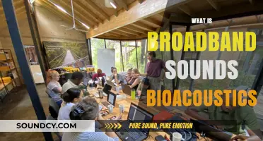 Exploring Broadband Sounds in Bioacoustics: Understanding Nature's Sonic Secrets
