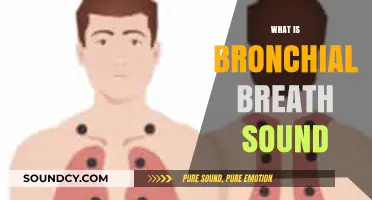 Understanding Bronchial Breath Sounds: Causes, Characteristics, and Clinical Significance