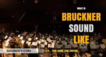 Exploring Bruckner's Majestic, Romantic, and Spiritual Symphonic Soundscapes