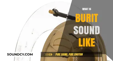 Exploring the Unique and Mystical Sounds of the Burit Instrument