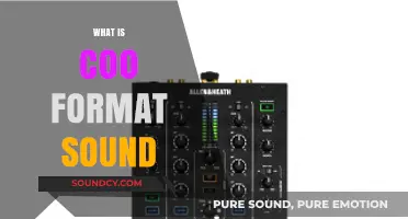 Understanding C00 Format: A Comprehensive Guide to This Unique Sound File