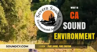 Understanding the CA Sound Environment: Key Concepts and Importance