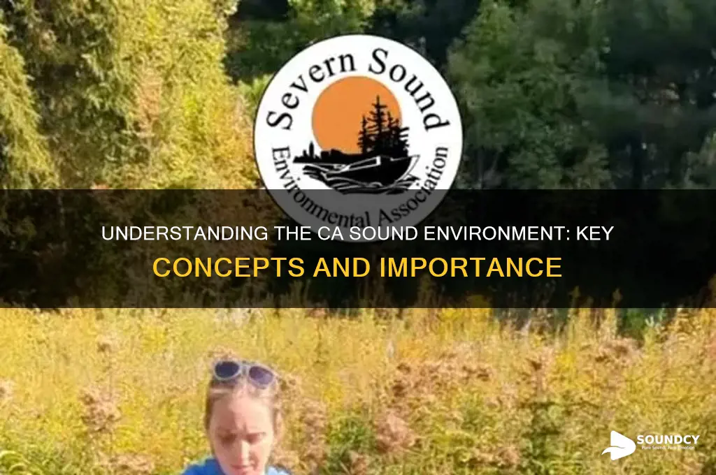 what is ca sound environment