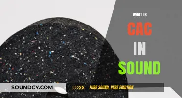 Understanding CAC: The Crucial Role in Sound Engineering and Acoustics