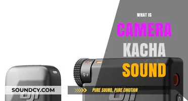 Understanding the Camera Kacha Sound: Origins, Uses, and Cultural Impact