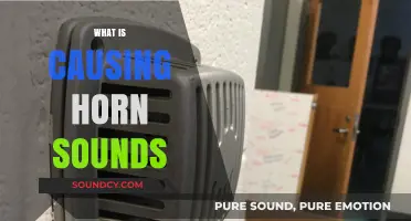 Unraveling the Mystery: What's Behind Those Mysterious Horn Sounds?