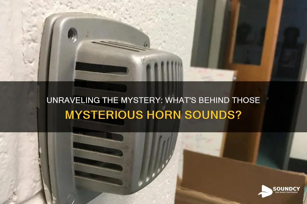 what is causing horn sounds