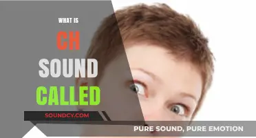 Understanding the Ch Sound: Its Name, Uses, and Pronunciation Guide