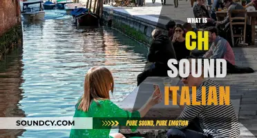 Understanding the Italian 'CH' Sound: Pronunciation, Usage, and Examples