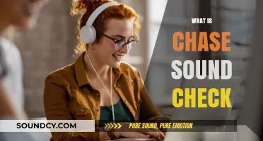 Understanding Chase Sound Check: A Comprehensive Guide to Its Features